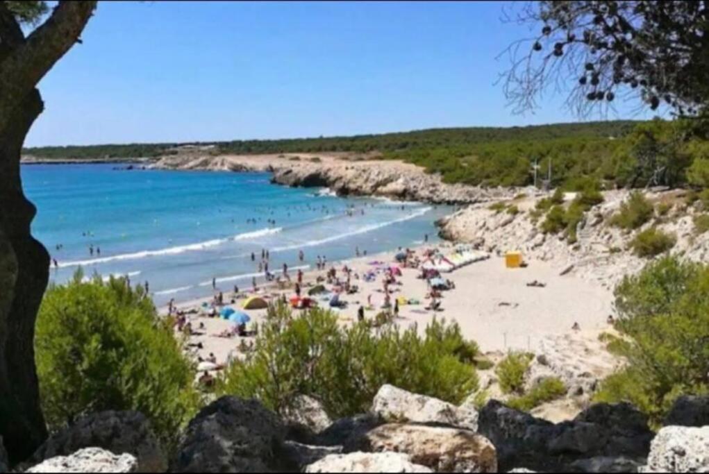 Studio Mer Et Vacances Sausset-les-Pins Kültér fotó